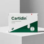 Cartidin Online Φθηνά - Ανακουφιστείτε από τον πόνο της αρθρίτιδας thumbnail 2